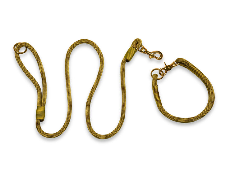Golden Treasure Handmade Rope Dog Collar with Whipping by Collared Creatures. Luxury Designer Rope Dog Collar Made in the UK.
