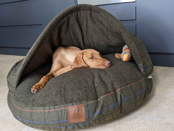 Vizsla dog resting in a Green Tweed luxury cave bed in a contemporary kitchen setting, with plush teddy fleece interior