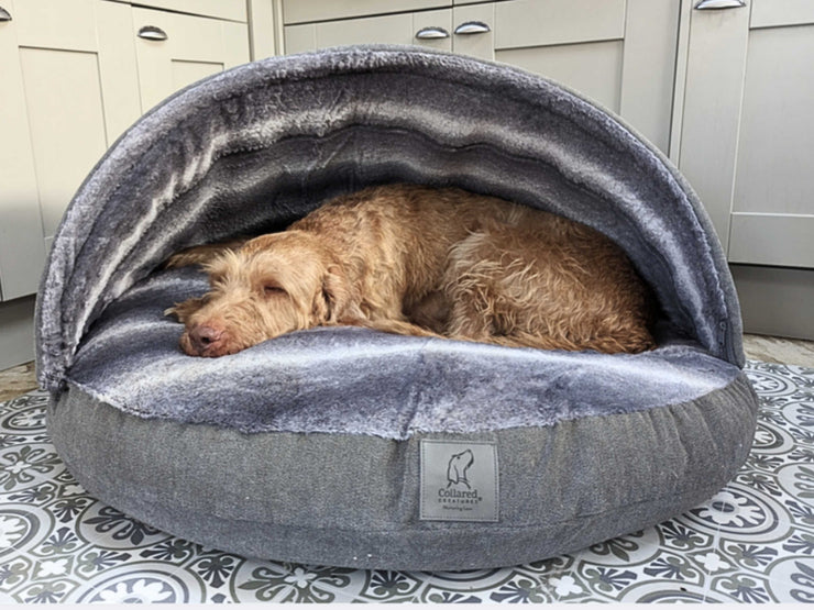 Dog sleeping in grey luxury cave bed with soft faux fur cover, ideal for cosy snuggling and enclosed comfort - Collared Creatures
