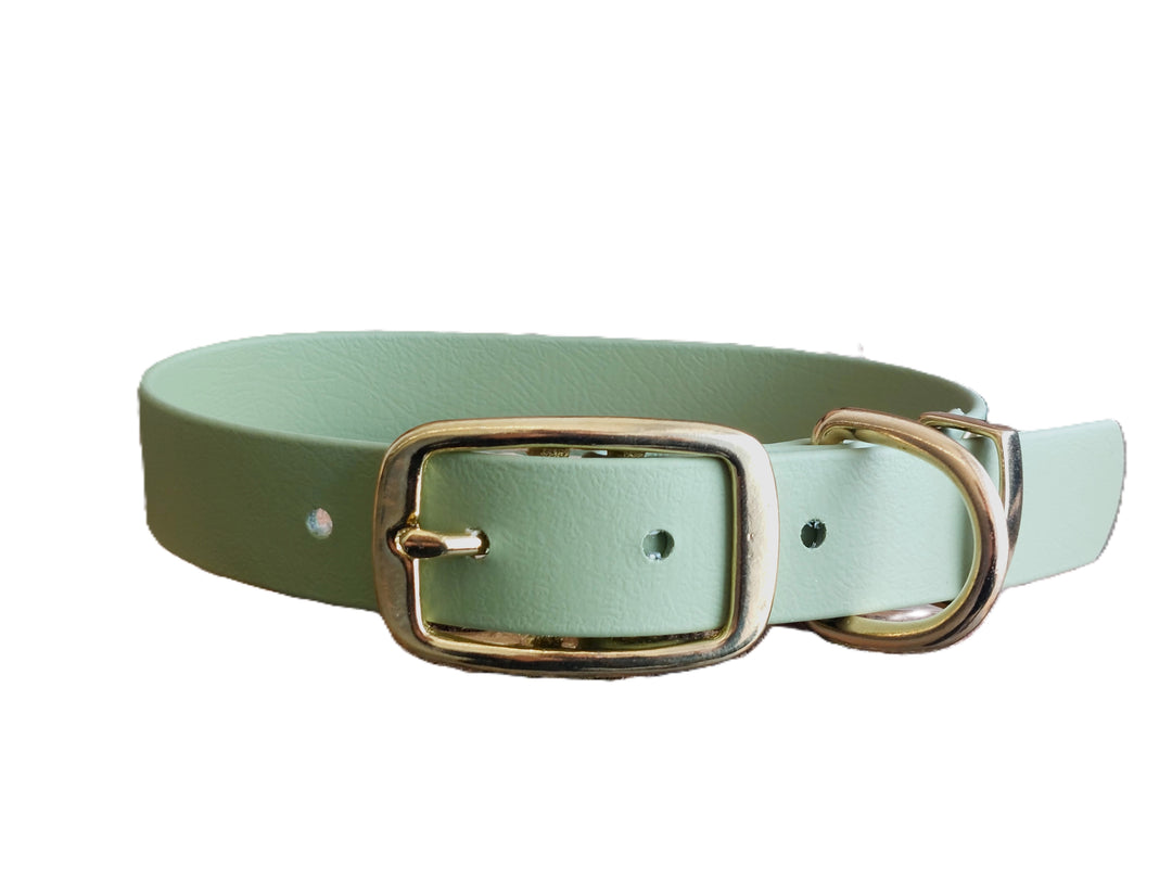 Green waterproof dog collar clearance