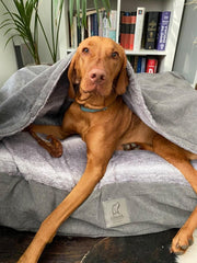 Grey Luxury Dog Snuggle Bed / Snuggle Sack new faux fur inner material