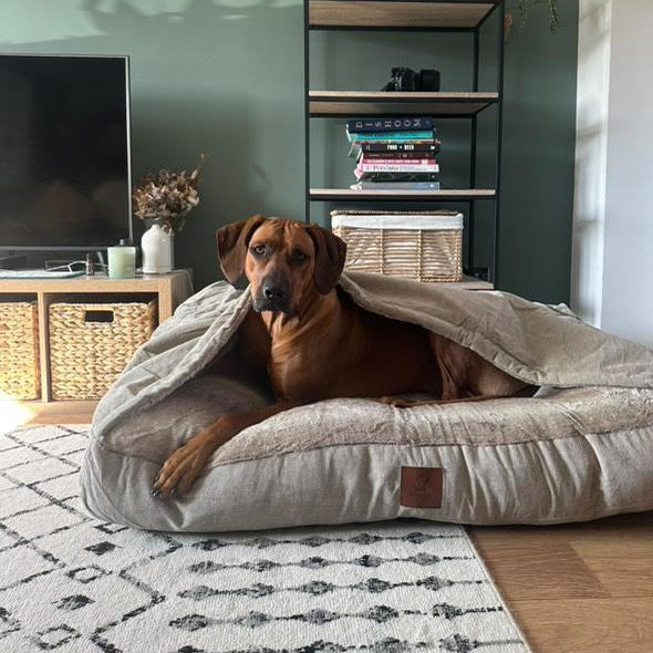 Beige Luxury Dog Snuggle Bed - Snuggle Sack/collared creatures