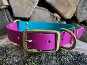 Collared Creatures Magenta & Teal Multicolour Waterproof Biothane Dog Collar Handmade in Yorkshire