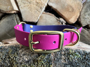 Magenta & Violet Multicolour Waterproof Biothane Dog Collar Handmade in Yorkshire