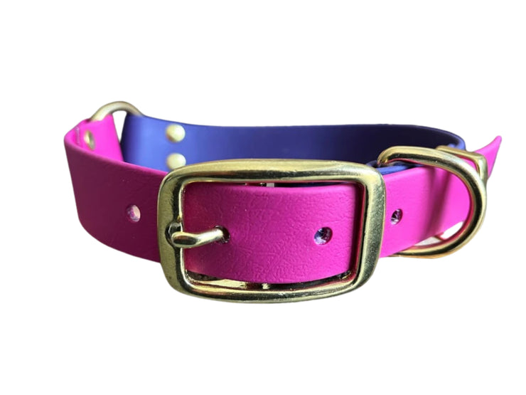 Magenta & Violet Multicolour Waterproof Biothane Buckle Dog Collar
