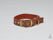 Mandarin Herringbone-Buckle Fastening Luxury Harris Tweed Dog Collar/collared creatures