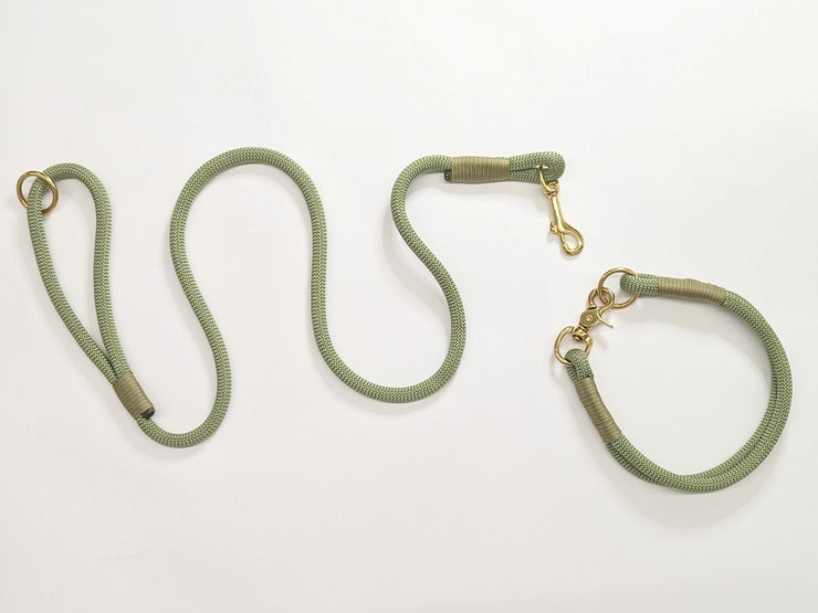 Holy Guacamole  Handmade Rope  collar with whipping