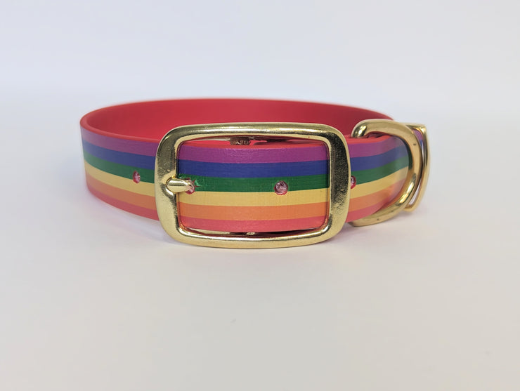 Rainbow LGBTQ Printed Waterproof Biothane Dog Collar/collaredcreatures