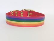 Rainbow LGBTQ Printed Waterproof Biothane Dog Collar/collaredcreatures