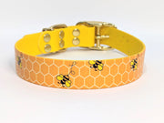 Busy Bees Printed Waterproof Biothane Dog Collar /collared creatures
