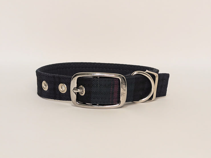 Baird Modern-Buckle Fastening Luxury Dog Collar/collared creatures