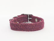 Raspberry & Coral-Buckle Fastening Luxury Harris Tweed Dog Collar/collared creatures