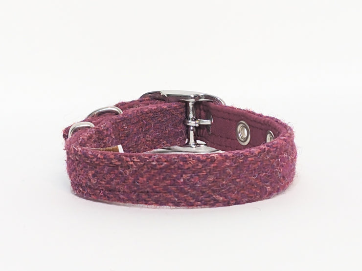 Raspberry & Coral-Buckle Fastening Luxury Harris Tweed Dog Collar/collared creatures