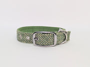 Green Herringbone -Buckle Fastening Luxury Harris Tweed Dog Collar/ collared creatures