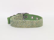 Green Herringbone -Buckle Fastening Luxury Harris Tweed Dog Collar/ collared creatures