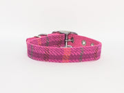 Cerise Check -Buckle Fastening Luxury Harris Tweed Dog Collar