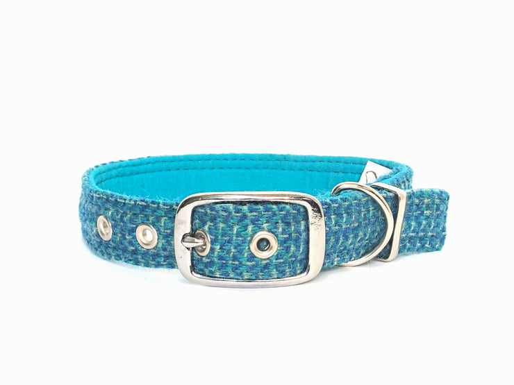 Collared Creatures Turquoise - Buckle Fastening Harris Tweed Luxury Dog Collar/collared creatures