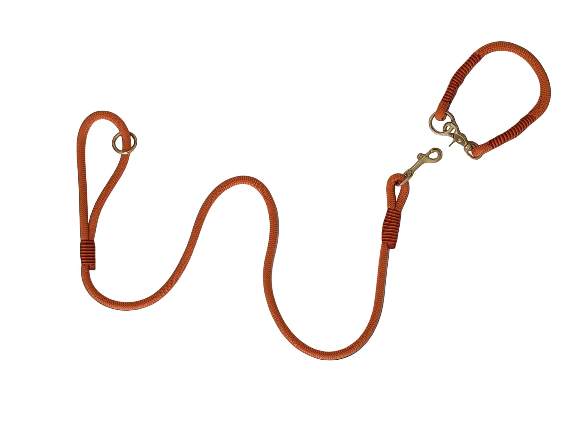 Fox orange Handmade Rope Dog Collar with whipping/collared creatures