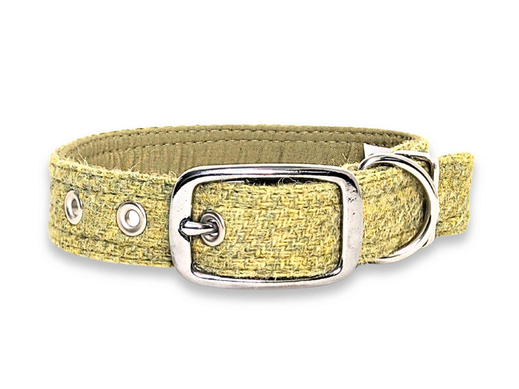 Pear Green Luxury Harris Tweed Dog Collar by Collared Creatures - Luxury Handmade Tweed Buckle Dog Collar, Highest Quality & Affordable, Available in S/M/L/XL