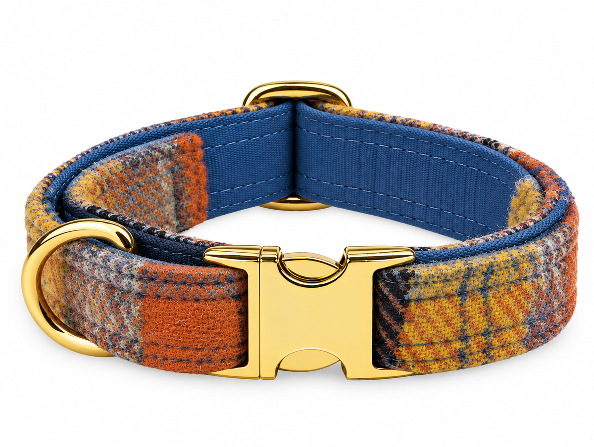 A tweed  dog collar featuring a textured plaid pattern in orange, yellow, and blue, with a blue inner lining and polished gold-tone hardware.