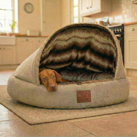 Dog lying in a cozy pet cave bed with a blanket inside a kitchen.