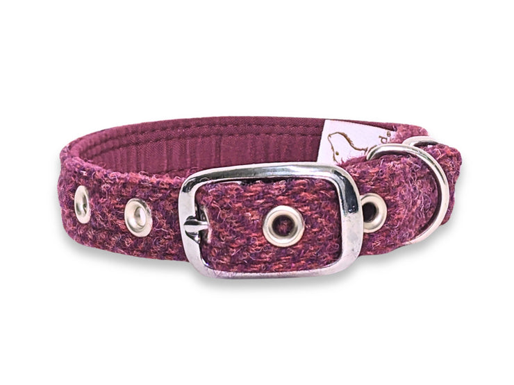Raspberry & Coral Luxury Harris Tweed Dog Collar by Collared Creatures - Superior Harris Tweed Dog Collar with Buckle, Hard Wearing & Machine Washable, Available in Multiple Sizes
