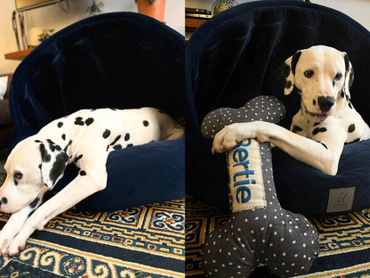 Dalmatian lounging and cuddling a plush toy in the Sapphire Blue Cocoon Dog Bed
