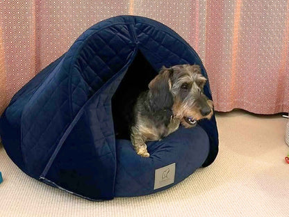Dachshund peeking out from the Sapphire Blue Cocoon Dog Bed with curtains