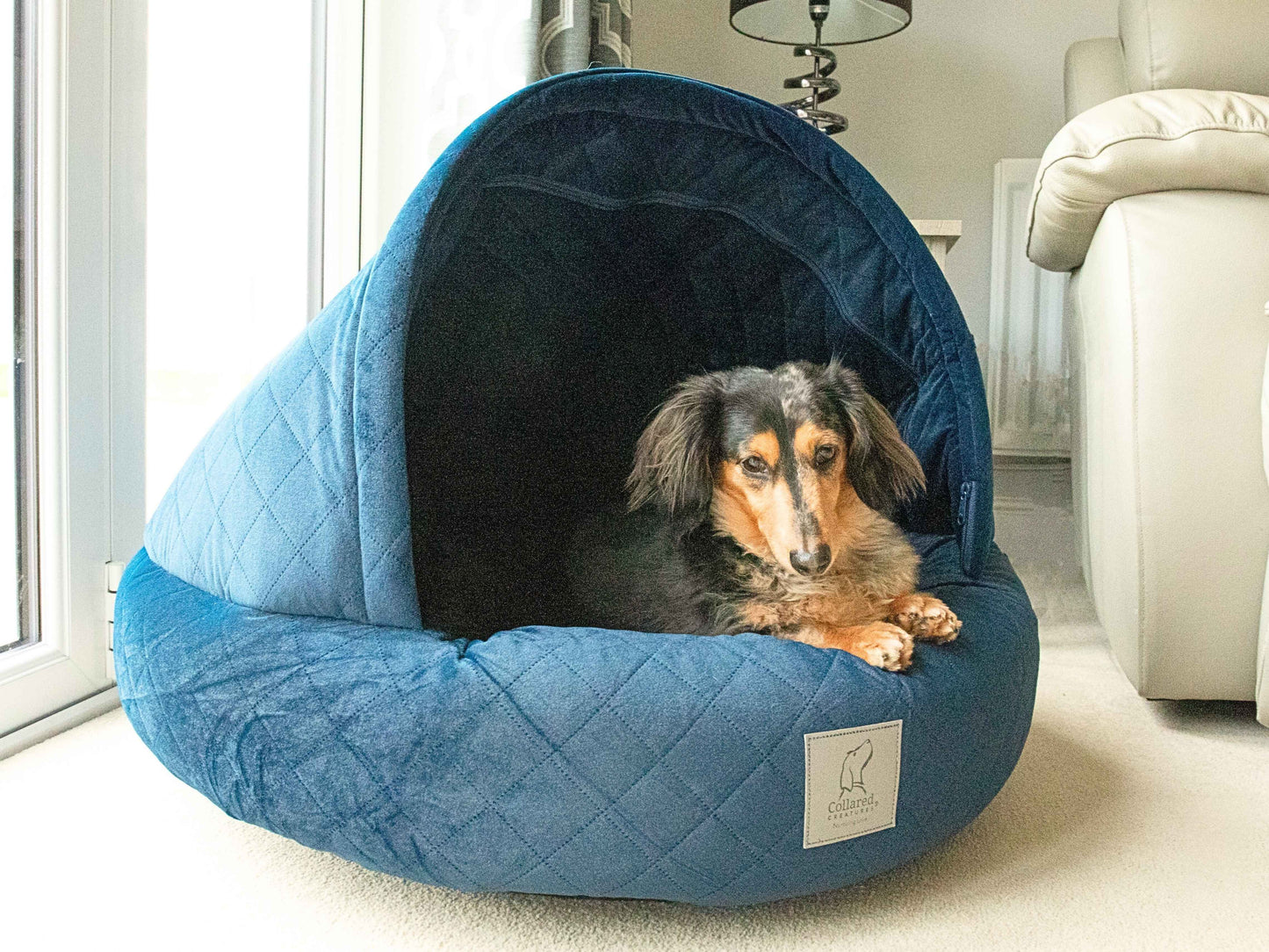 Dachshund resting inside the Sapphire Blue Quilted Cocoon Dog Bed by Collared Creatures