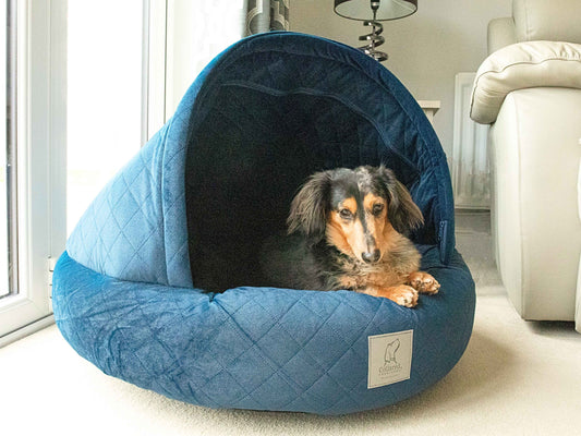 Dachshund resting inside the Sapphire Blue Quilted Cocoon Dog Bed by Collared Creatures