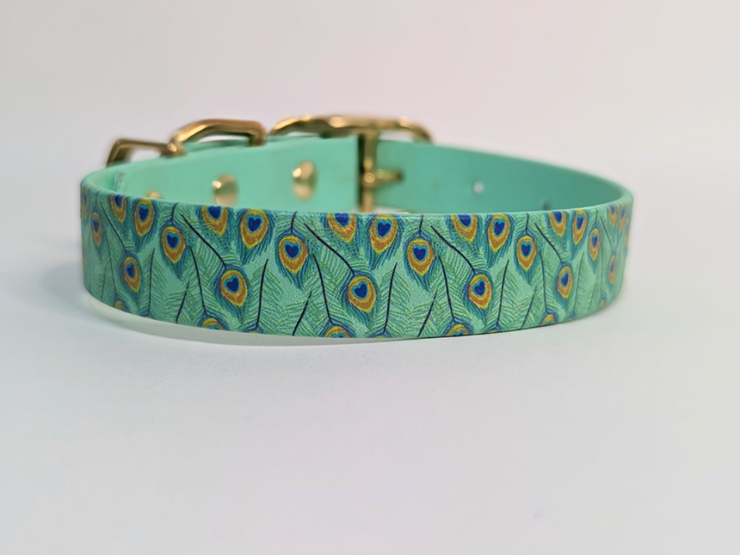 Peacock Print on mint Printed Waterproof Biothane Dog Collar /collared creatures