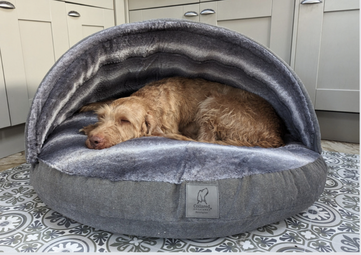 Grey Luxury Dog Cave Bed with removable firm Hood