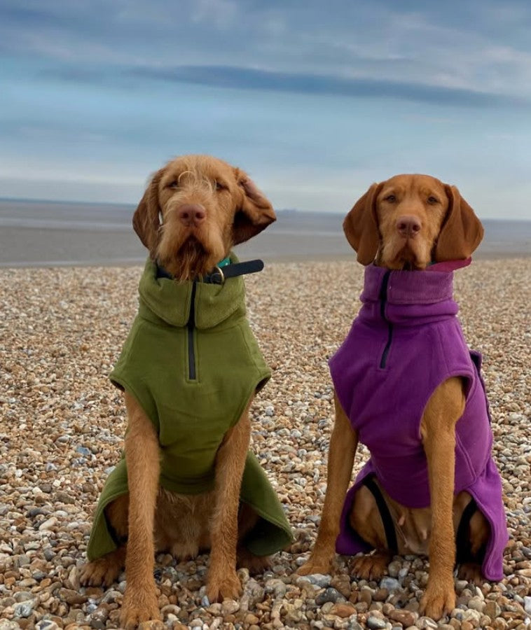 Green Superior Perfectly Practical Dog Drying Coat - Collared Creatures LTD