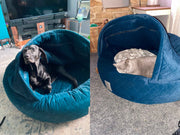 Split image showing a black dog and a grey cat each relaxing in their teal cocoon dog beds