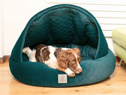 Liver and white Springer Spaniel resting in a teal velour cocoon bed by Collared Creatures