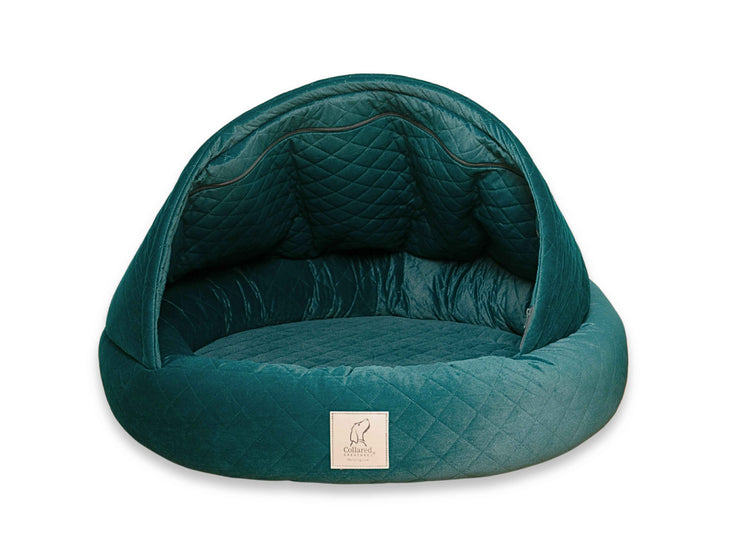 Teal Collared Creatures cocoon dog bed isolated on a white background for product display