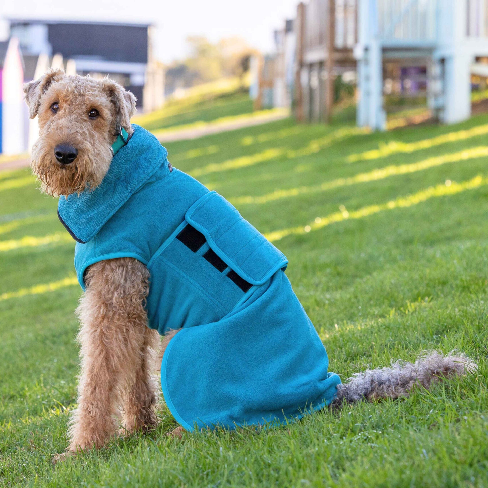 Teal Dog Drying Coat – Quick Dry, Fleece Lined, Adjustable Snug