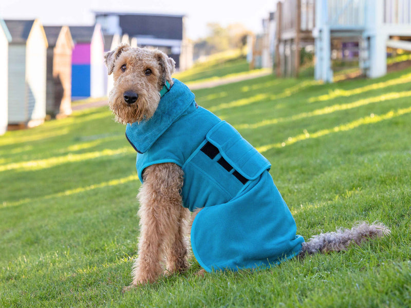 Why Drying Coats Work Better Than Towels