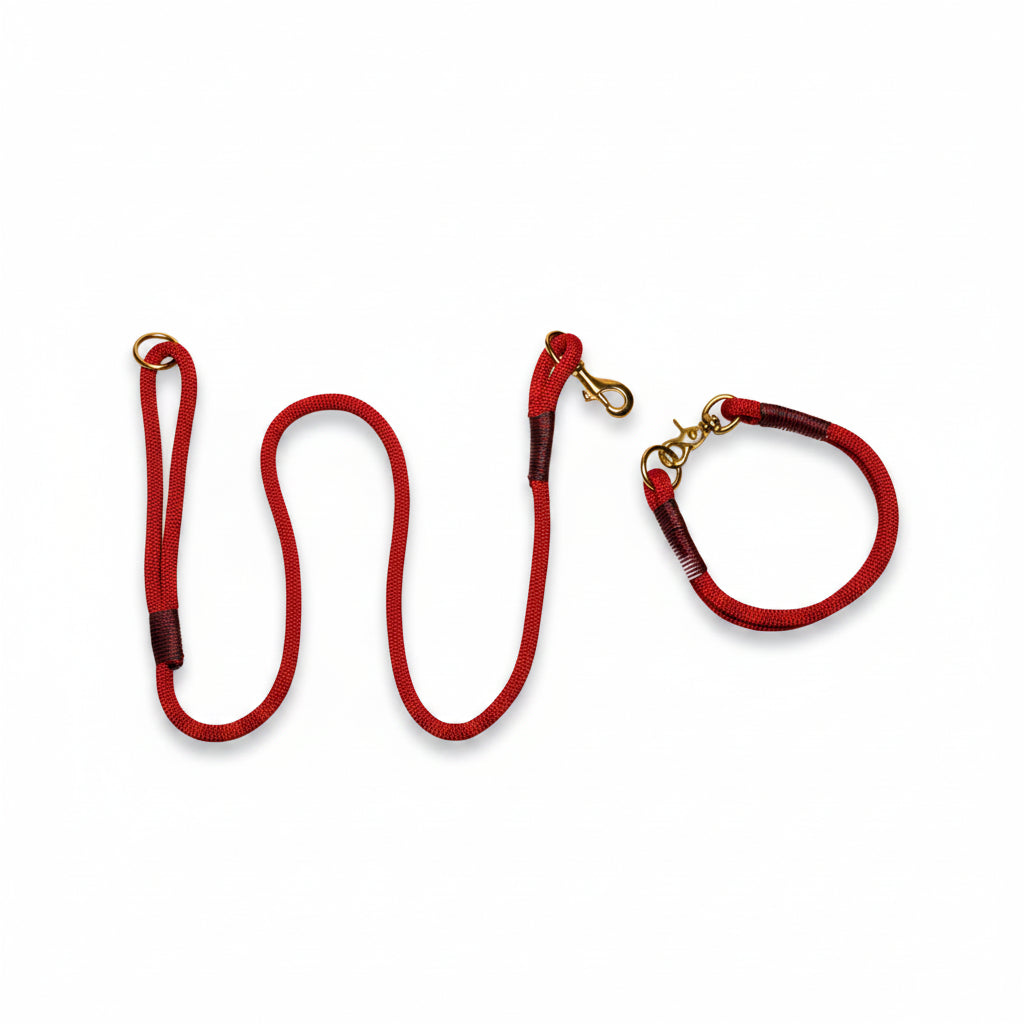 Vibrant Red Nautical Rope Dog Collar – Handmade & Durable – Collared ...