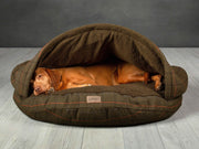 Vizsla dog fully stretched out and asleep in a Green Tweed cave bed with structured hood and plush interior by Collared Creatures
