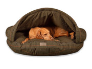 Vizsla dog lounging in a Green Tweed luxury cave bed by Collared Creatures, peeking out from under the rigid hood