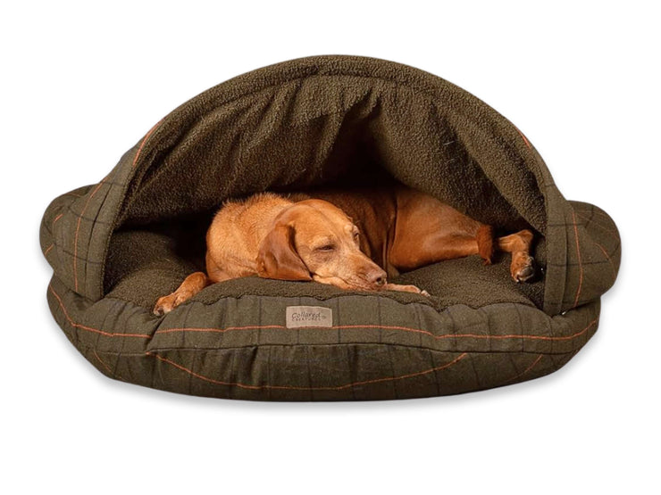Vizsla dog lounging in a Green Tweed luxury cave bed by Collared Creatures, peeking out from under the rigid hood