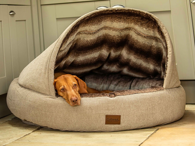 Vizsla resting its head on the edge of the Beige Deluxe Cocoon Dog Bed by Collared Creatures