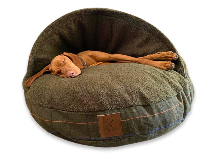 Vizsla sleeping peacefully inside a Green Tweed dog cave bed , cosy and enclosed - Collared Creatures