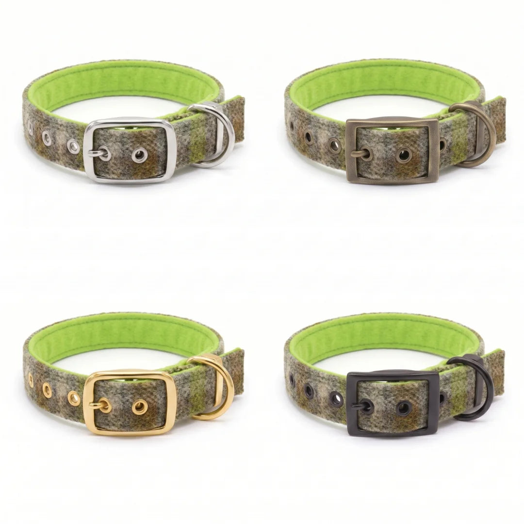 Four dog collars arranged in a 2x2 grid on a white background, each with a bright lime green inner lining and a textured green-brown outer strap. The collars feature different buckle colors: silver, bronze, gold, and black.