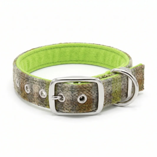 A dog collar made of a textured green and brown camouflage patterned fabric, featuring a bright lime green felt lining, silver-tone metal hardware, and a matching buckle.