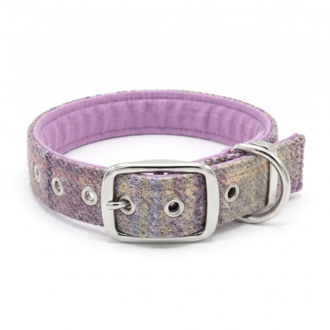 A textured purple and lavender dog collar with a silver-tone metal buckle, D-ring, and eyelets, shown on a white background.