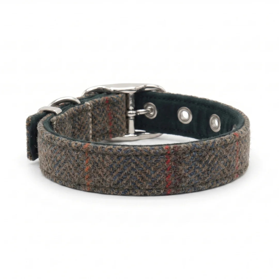 rosa myrtle abraham moon dog collar with metal buckle on white ackground