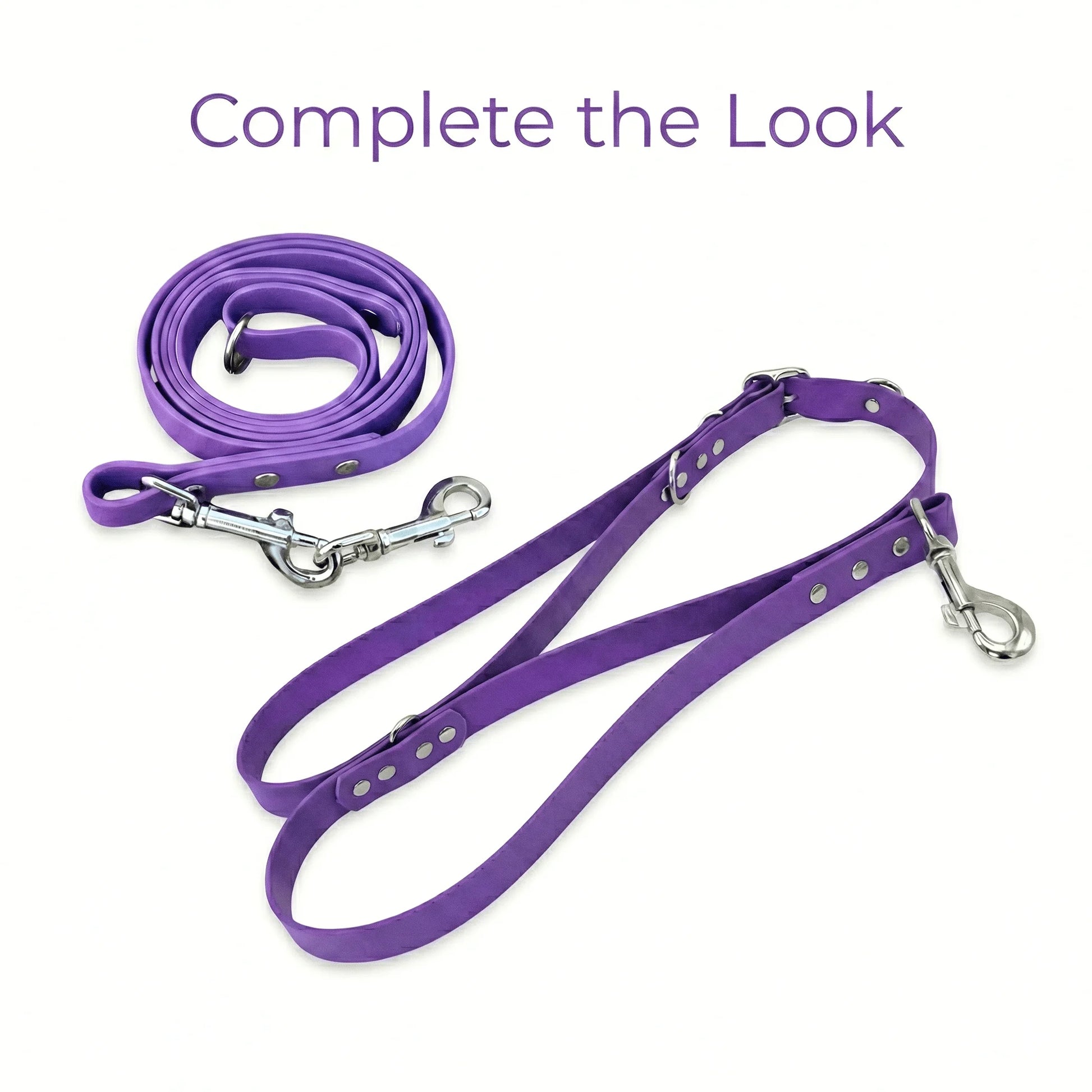 Amethyst Waterproof Biothane Buckle Dog Collar - Collared Creatures LTD
