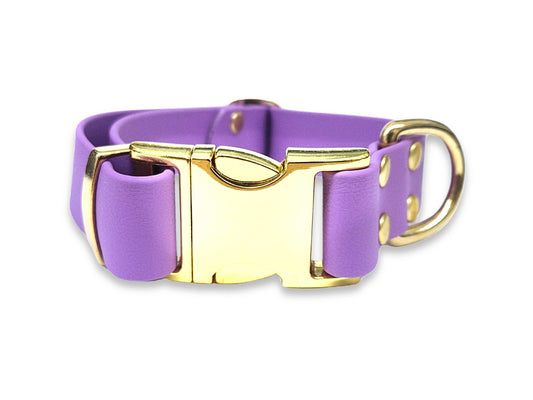 Amethyst Biothane clasp collar – water-repellent, odour-free, and built for muddy adventures – by Collared Creatures